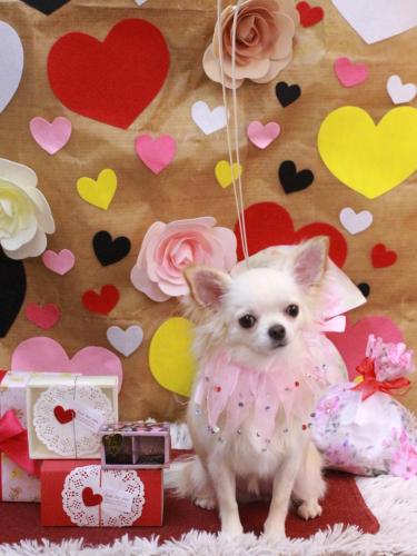 20230207うくちゃん